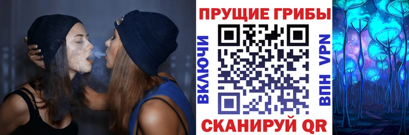 Галлюциногенные грибы прущие грибы  хочу наркоту  Кирсанов 