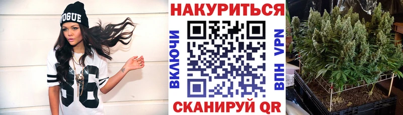 Канабис индика  Кирсанов 