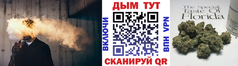 Конопля планчик Кирсанов
